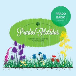 prados floridos 1000x1000 01