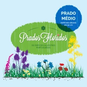 prados floridos 1000x1000 2019 03