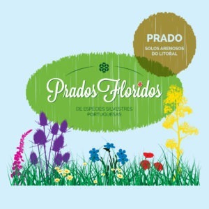 prados floridos 1000x1000 2019 08